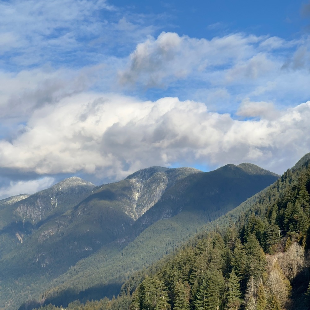 Meet your Posher, Tony